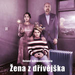 Image/shop/383_Zena z drivejska-obal-WEB.jpg